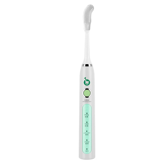 Electric Toothbrush