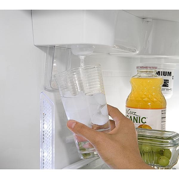 refrigerator water dispenser