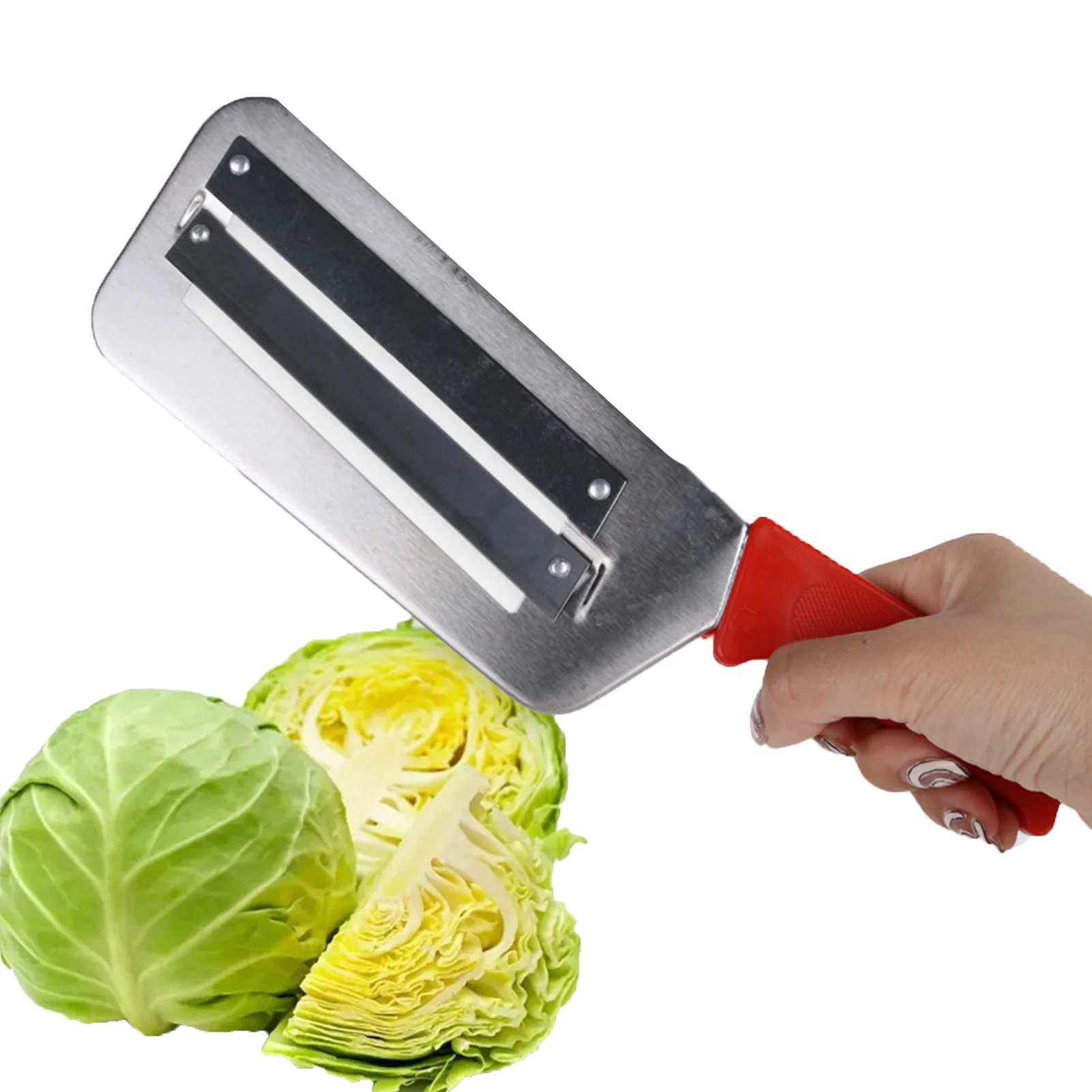 cabbage shredder