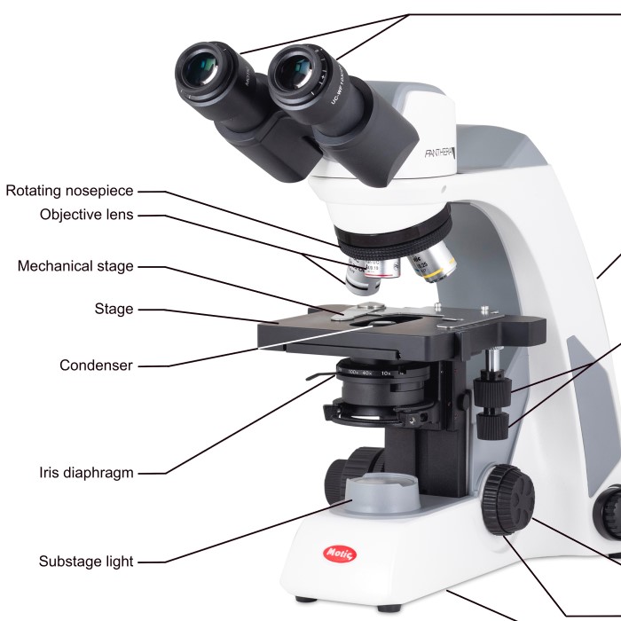 microscope stage function