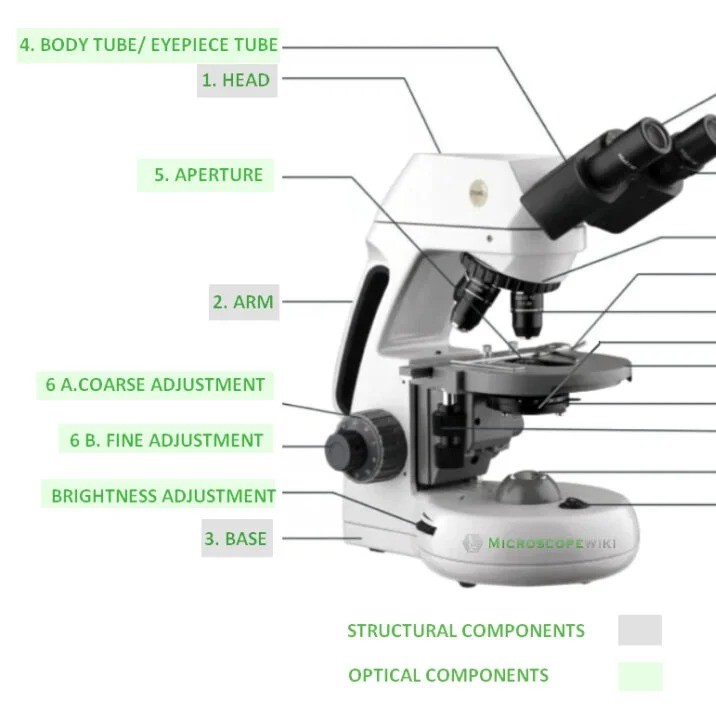 labeled diagram of a microscope