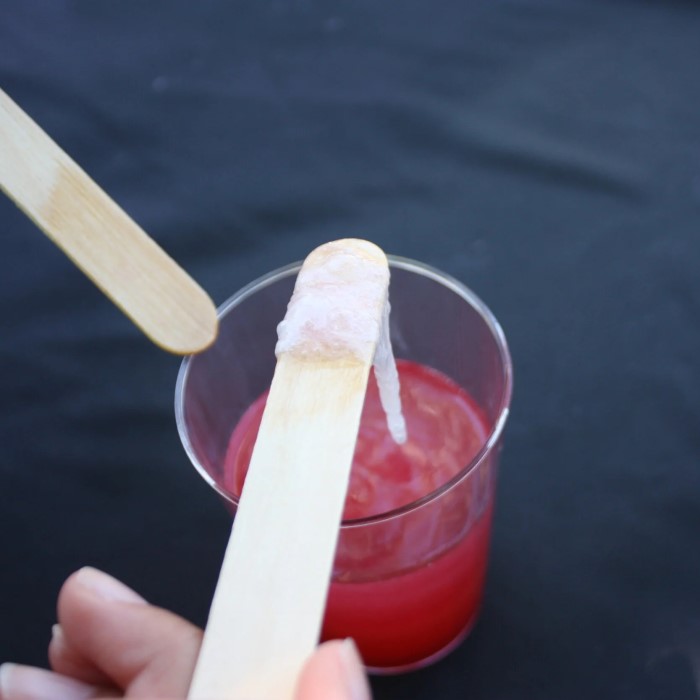 strawberry dna extraction