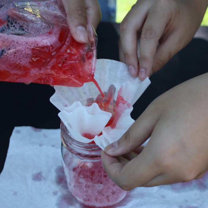 strawberry dna extraction