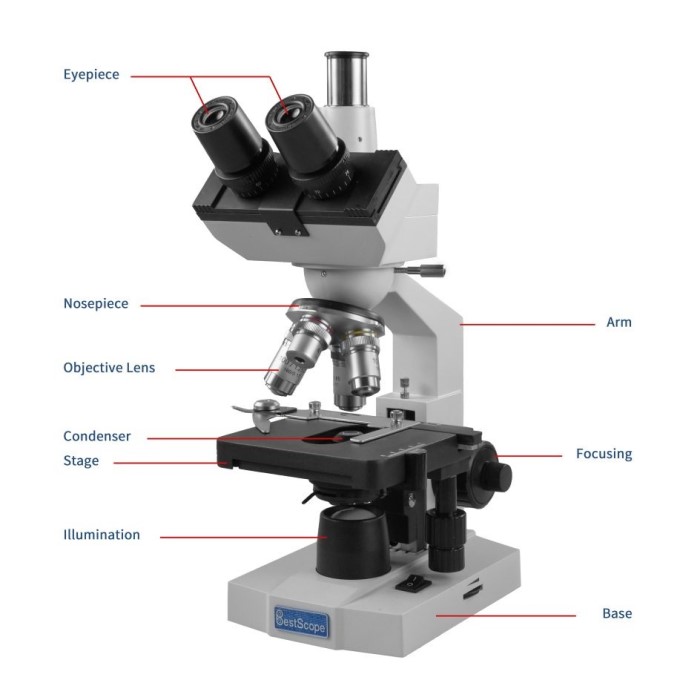 microscope stage function