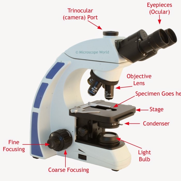 microscope stage function