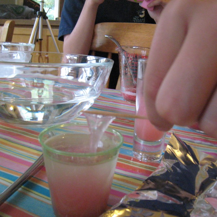 strawberry dna extraction