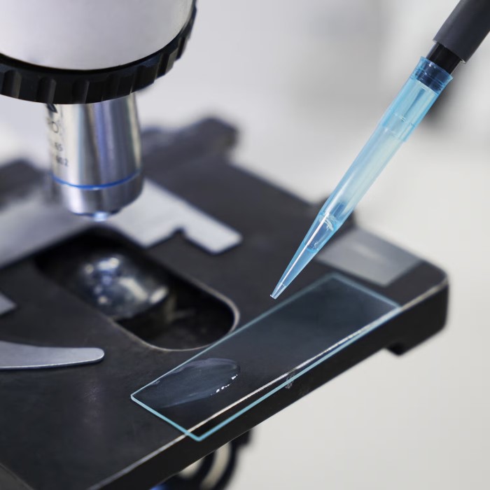 microscope stage function